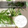 thumbnail image 3 of Soporte Para Plantas De Hojas, Acrílico, Fácil De Usar, Promueve El Crecimiento Para Plantas De Interior Y Exterior, 3 of 7