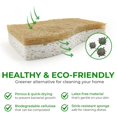 thumbnail image 4 of Esponja de cocina AIRNEX Natural Biodegradable, paquete de 24, 4 of 7