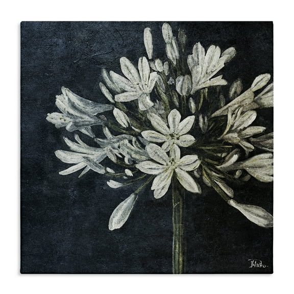 Stupell Industries White Herb Blooms Botanical & Floral Painting Gallery Wrapped Canvas Art Print Wall Art, 17 x 17