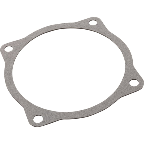 Gasket, AquaFlo A, Volute, 4-13/16"ID, 5-1/2"OD, Generic