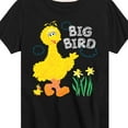 thumbnail image 3 of Sesame Street - Big Bird Daffodils - Toddler and Youth Short Sleeve Graphic T-Shirt, 3 of 5