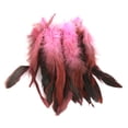 thumbnail image 4 of Paquete de 100 Gorro de Plumas de Gallo Gloria Decoración para hogar Anillos para Los oídos Manualidades plumas de gallo, 4 of 9