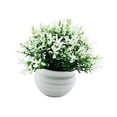 thumbnail image 2 of Planta falsa en maceta, decoración de bonsái Artificial, bonsái de imitación pequeño, plantas falsas para decoración del hogar, escritorio, estante de Blanco, 2 of 8
