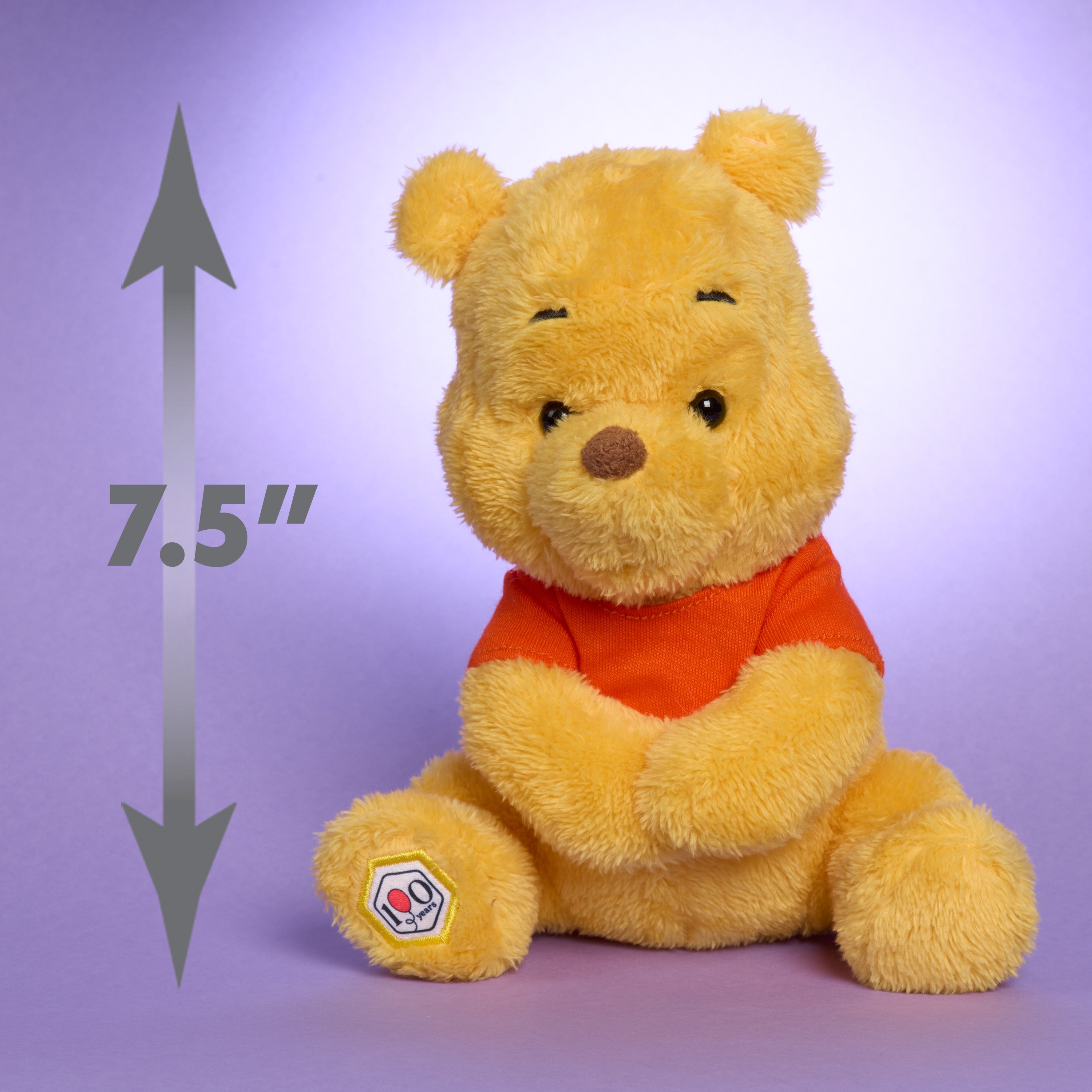 Disney Winnie the Pooh 100th Anniversary Plush Set photo 3