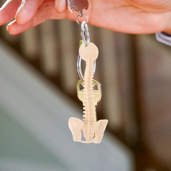 MLINS 2PCS Spine Keychain Biology Keyring Pendant Keychain Spine Ring Human Spine Model For Bags Car Tote Decor