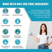 Ancient Bliss Wild-Caught Marine Fish Collagen Peptides Powder, Flavorless, Gluten-Free, 15.87 oz