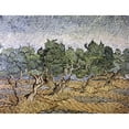 thumbnail image 2 of Van Gogh, Vincent 24x19 Black Modern Framed Museum Art Print Titled - Olive Orchard, Violet Soil, 2 of 4