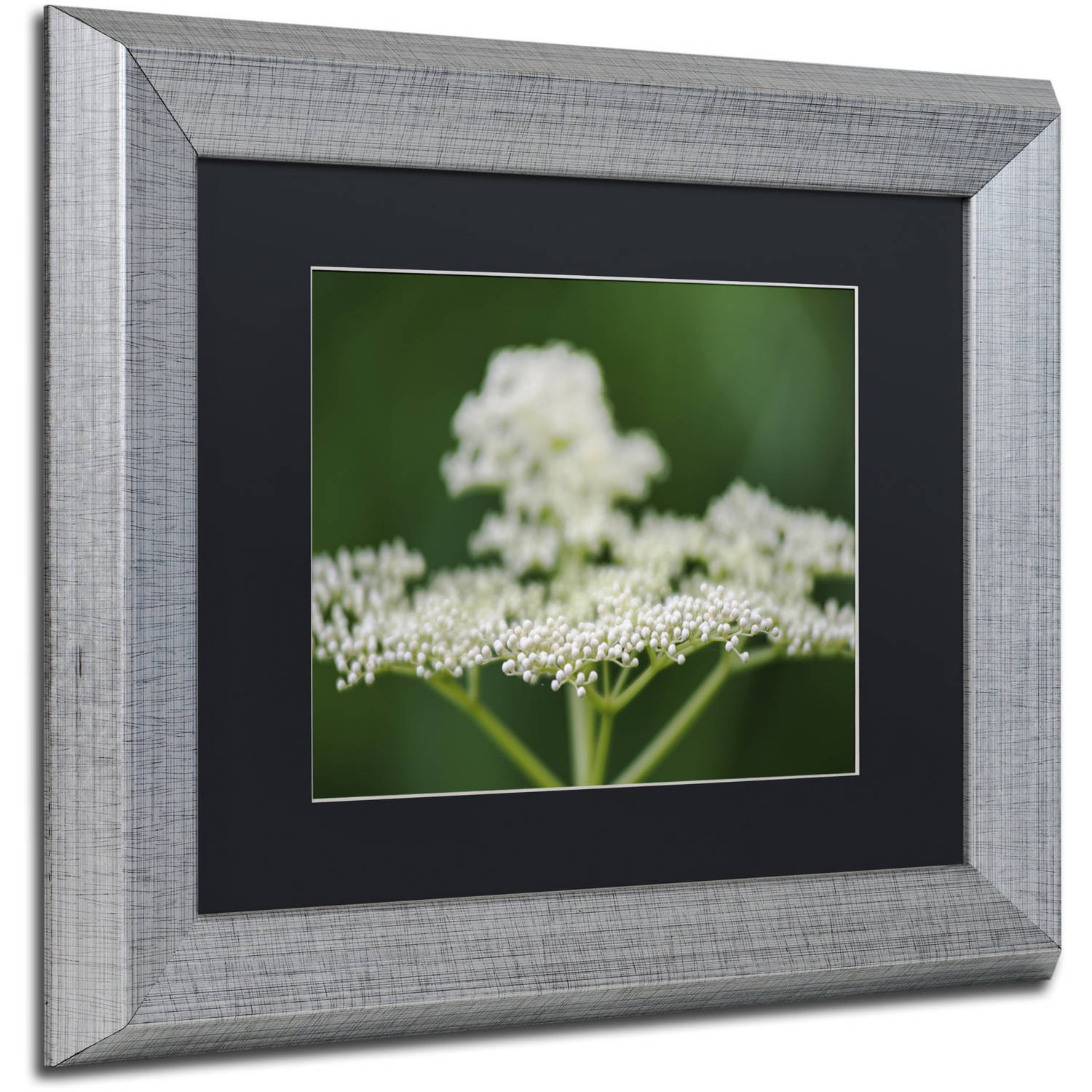 Trademark Fine Art "Nature is Amazing" Canvas Art by Kurt Shaffer, Black Matte, Silver Frame
