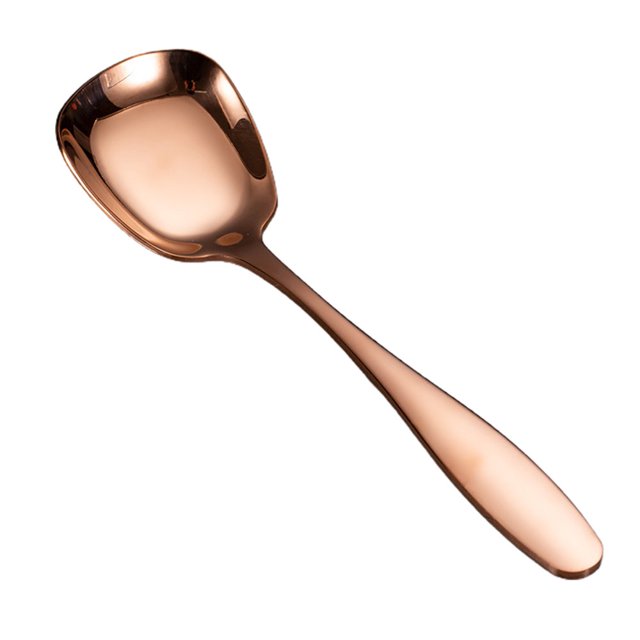 CNKOO Serving Spoon Dishwasher Safe Rust-resistant Stainless Steel Large Buffet Serving Spoon for Restaurant