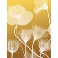 thumbnail image 2 of Koetsier, Albert 12x14 White Modern Wood Framed Museum Art Print Titled - Transparent Flora 1, 2 of 4
