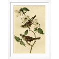 thumbnail image 2 of Art.com White Throated Finch Art Print by John James Audubon, White Frame Wall Art, 32" x 44", 2 of 5