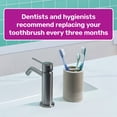thumbnail image 5 of Tom’s of Maine Antiplaque Adult Soft Toothbrush, 2 Pack, 5 of 13