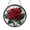 Acrylic 3.5 Inch, variant on Elegant Rose Blossom Stained Glass Style Round Window Panel