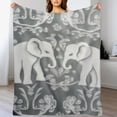 thumbnail image 3 of ARISTURING  Velvet Plush Home Throw Blanket for Couch Sofa Bed, Warm Elegant Fuzzy Flannel Blanket for Kid Adults or Pet, Lightweight Soft Cozy Warm Luxury Blankets (Elephant Gray), 3 of 6