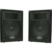 Peavey PVi10 Two 10" 100 Watt 2-Way Pro Audio Live Speaker System