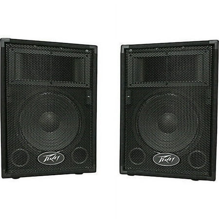 Peavey PVi10 Two 10" 100 Watt 2-Way Pro Audio Live Speaker System