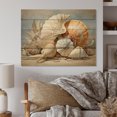 thumbnail image 2 of Designart "Seashells Contemporary composition" Animals Print on Natural Pine Wood, 2 of 5