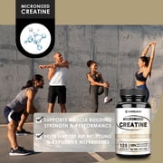 Micronized Creatine Capsules - Muscle Building Support, Improve Performance & Strength - 120 Capsules