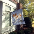 thumbnail image 2 of Carolines Treasures CK3668CHF Papillon Welcome Flag Canvas House Size, 2 of 4