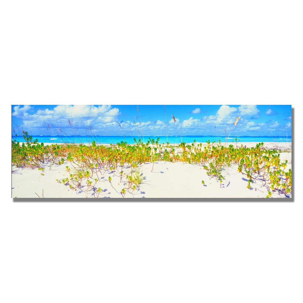 Trademark Art "Turks Beach" Canvas Wall Art by Preston