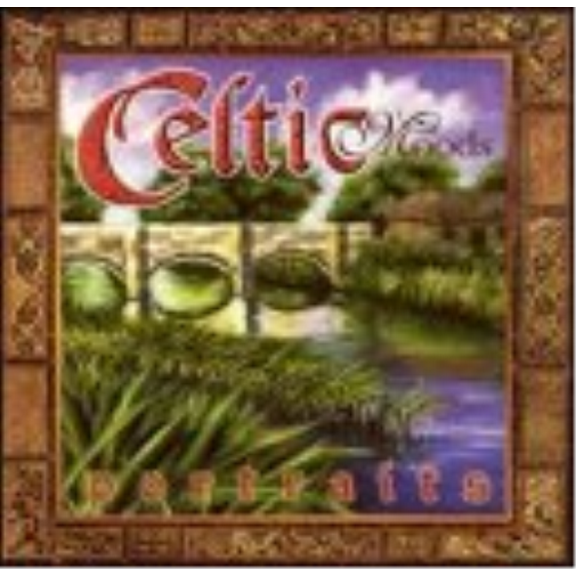 Various Artists Celtic Moods: Portraits (CD)