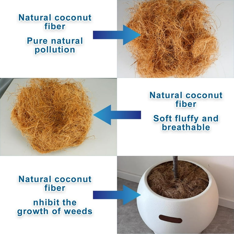 8.8oz Natural Coconut Husk Silk, Organic Pure Coconut Husk Fiber Orchid  Plant Coconut Fiber Substrate Coco Coir Fiber Greenery Covering Coconut  Fiber ...