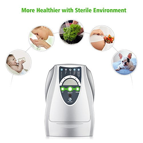 Wsta portable ozone generator online