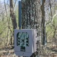 thumbnail image 3 of Bushnell Cellular Trail Camera Security Box, Heavy-Duty Powder-Coated Steel, Anti-Theft Protection, Easy Mounting, Access Holes for Cables and Locks (119951C), 3 of 3
