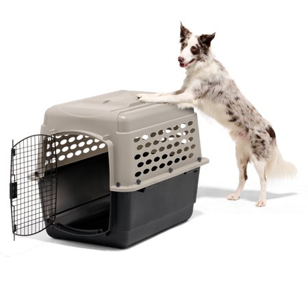 ペットケージ 旅行用 バリケンネル 飛行機 クレート ハウス 中型犬 300 ML ( バリケンネル ML トープ ブラック )