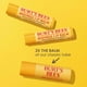 thumbnail image 5 of Bálsamo labial Burt's Bees Stocking Stuffers, paquete de 3, 100% natural, 5 of 9