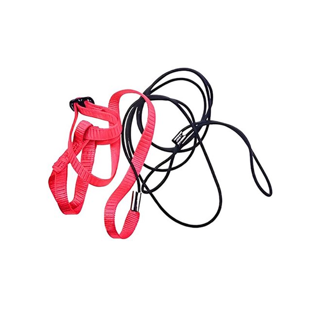 Laisse Volante pour Animaux de Compagnie Extérieure Camping Élastique Réglable Randonnée Harnais de Poitrine Portable Réglable pour Petits Animaux Fournitures pour Animaux m