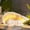 Yellow YE, variant on Garden Statue Dog Solar Powered Outdoor Decoration Resin Yard Art Figurine Unique Memorial Dog Sculpture Solar Garden Light for Lawn Patio Pathway Tribute