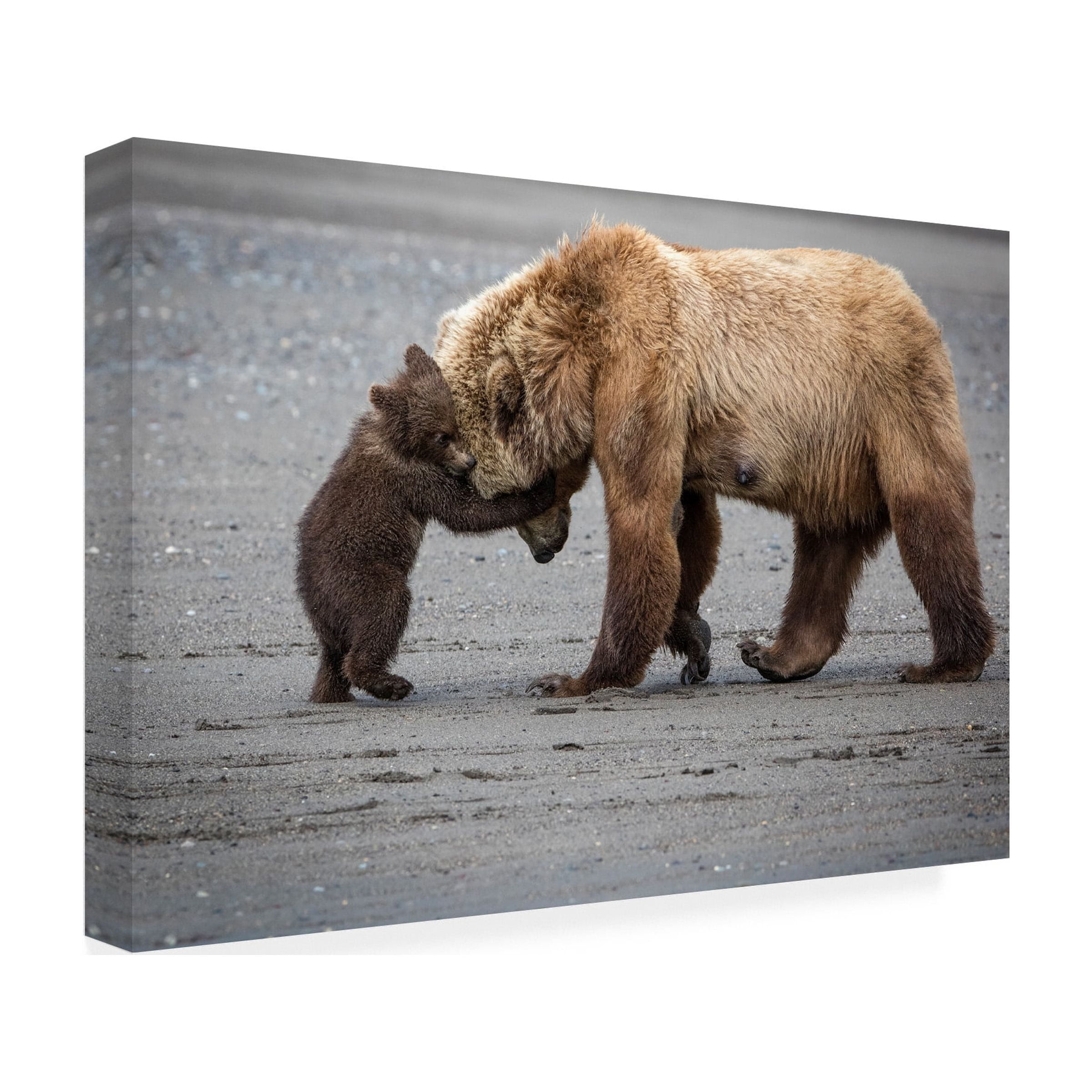 Renee Doyle 'A Little Bear Hug' Canvas Art