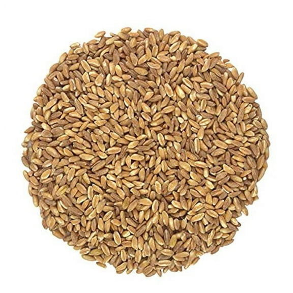 Organic Italian Pearled Farro - Raw, Non-GMO, Vegan, Bulk, Protein, Fiber Rich, Kosher (1LB)