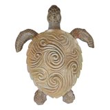 Swirl Turtle Shell Marine Life Sand Colored Sea Turtle With Ocean Wave Swirls Shell Wall ...