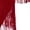Burgundy, variant on iiniim Girls 2 Piece Professional Ballroom Latin Dance Outfit Fringe Crop Top and Layered Tassel Pants Set Burgundy 16