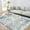 Blue tint, variant on Large Area Rug 10x13 Washable & Stain Resistant Indoor Soft Carpet Vintage Oriental Floral Design (Green)