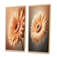 thumbnail image 3 of Designart "Vivid Orange Gerbera Daisy I" Gerbera Framed Wall Art Set Of 2 - Orange Floral Gallery Wall Frame Set For Home Decor, 3 of 7