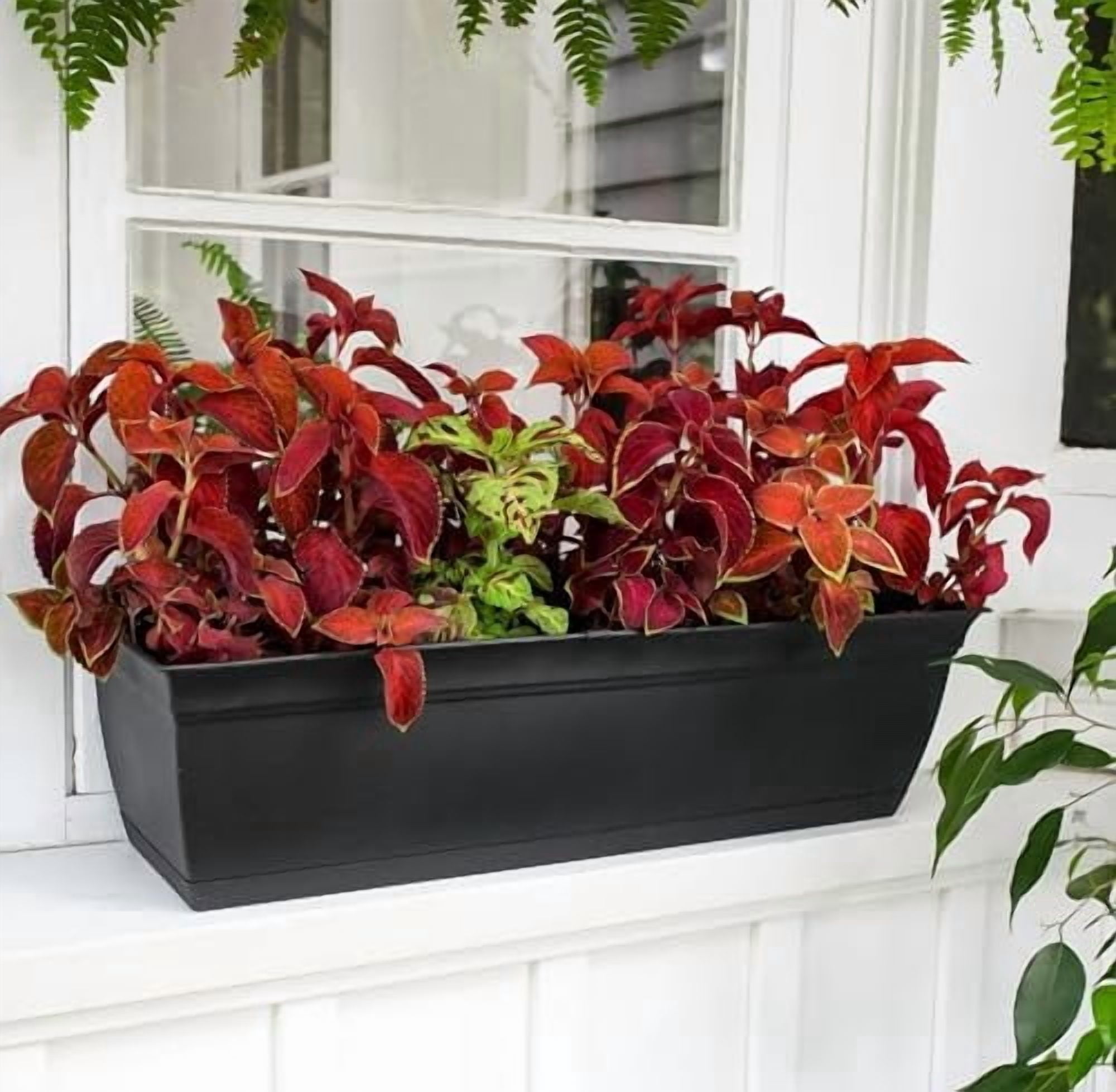 The HC Companies 24 Inch Eclipse Window Planter - Indoor Outdoor Rectangular Plant Pot with Removable Saucer for Flowers, Herbs, Clay