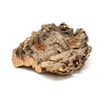 thumbnail image 2 of Air Plant Shop Small Tabletop Cork Bark Display with 2 Tillandsia Air Plants - Wholesale and Bulk - Succulents - Live Tillandsia - Easy Care Indoor and Outdoor House Plants, 2 of 10