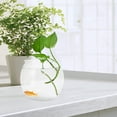 thumbnail image 4 of Minkissy Petit Aquarium Design de Bureau Matériau Transparent Incassable 1ensemble, 4 of 7