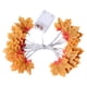 thumbnail image 4 of [Lingersun] Cadena De Luz LED Hoja De Arce De Halloween De Acción De Gracias Decorativa Para Interiores Y Exteriores 6, 4 of 4