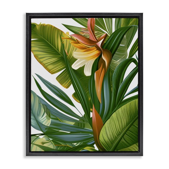 Stupell Industries Bohemian Wild Rainforest Flower Black Floating Frame Canvas Art, 17 x 21, by Marcus Prime