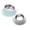 A,C, variant on Anti Vomiting 15° Tilted Elevated Dog Cat Bowl, Raised Stainless Steel Shallow Kitty Bowl with Non Spill Edge, Slow Feeder for Cat Food Water Bowls Indoor Outdoor Use, 8.66"