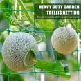 thumbnail image 4 of ZULAR Climbing Garden Trellis - Heavy Duty Garden Netting for Climbing Plants - Trellis Netting for Cucumbers,Vines,Fruits,Durable Nylon Plant Support Trellis - Easy to Install/5.9x16.5 FT （2PCS）, 4 of 4