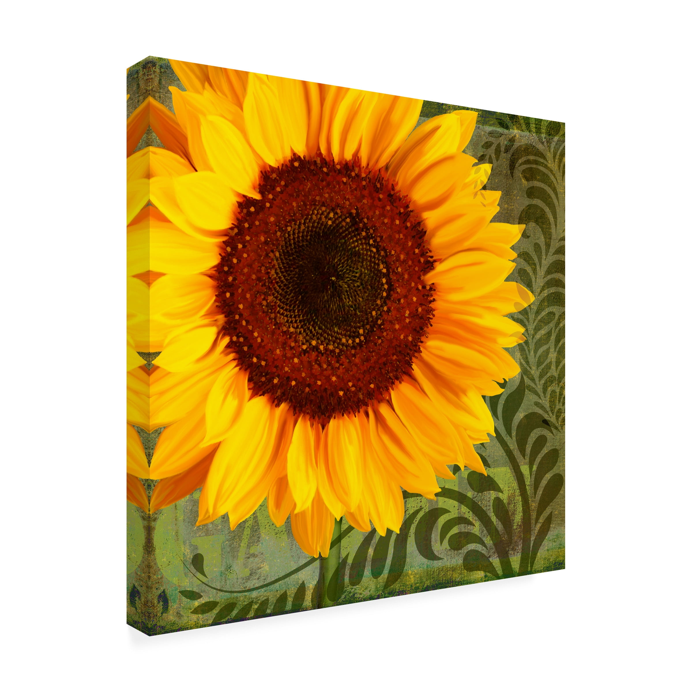 Trademark Fine Art 'Summer Sun I' Canvas Art by Tina Lavoie