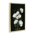 thumbnail image 4 of Stupell Industries Vintage Stems of Cotton Plants & Flowers Painting Gold Floater Framed Canvas Art Print Wall Art, 21 x 31, 4 of 10