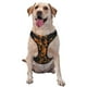 thumbnail image 1 of Balery Daisies Arnés para Perros Grandes Antitirones, Arnés con Correa para Gato, Arnés Tipo Chaleco para Perros Pequeños-Large, 1 of 6
