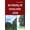 2 trevon brazile, variant on History Storyboard The Story of Christmas: History Storyboard, (Paperback)