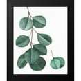 thumbnail image 2 of Allen, Kimberly 15x18 Black Modern Framed Museum Art Print Titled - Greens 2, 2 of 5